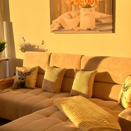 über Den Dächern Von *